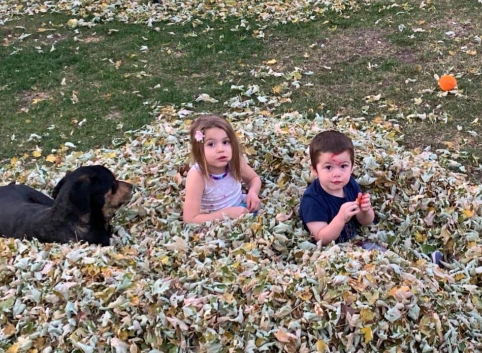 I'm happily getting over my days of election anxiety. Meanwhile, in Wisconsin, my grand kids are sitting in a leaf pile. They seem to have matters well in hand.