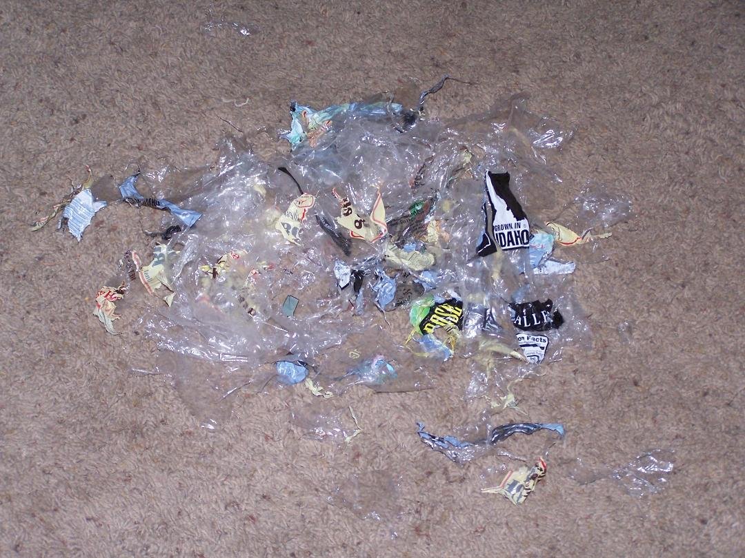 told Kirstens dog Hunter that she did not love him anymore and was not coming home,,,he was so upset he ate a pack of hot dog buns and a bag of baby red potatoes ,,, pretty sure he had help from the other two .....