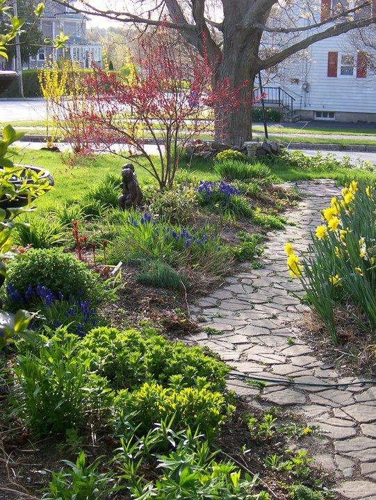 what a difference a day of rain makes, our gardens look like new life again