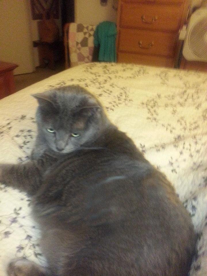 Smokee's come hither look.