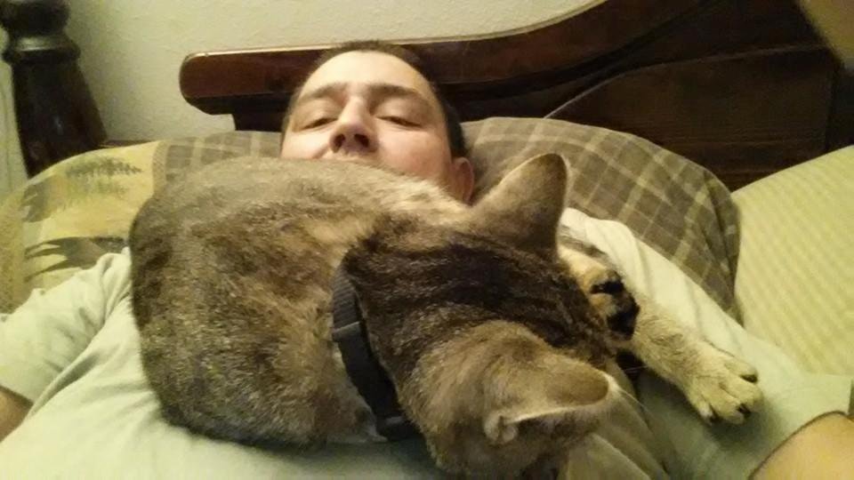 Little girl missed me now she wants a nap lol