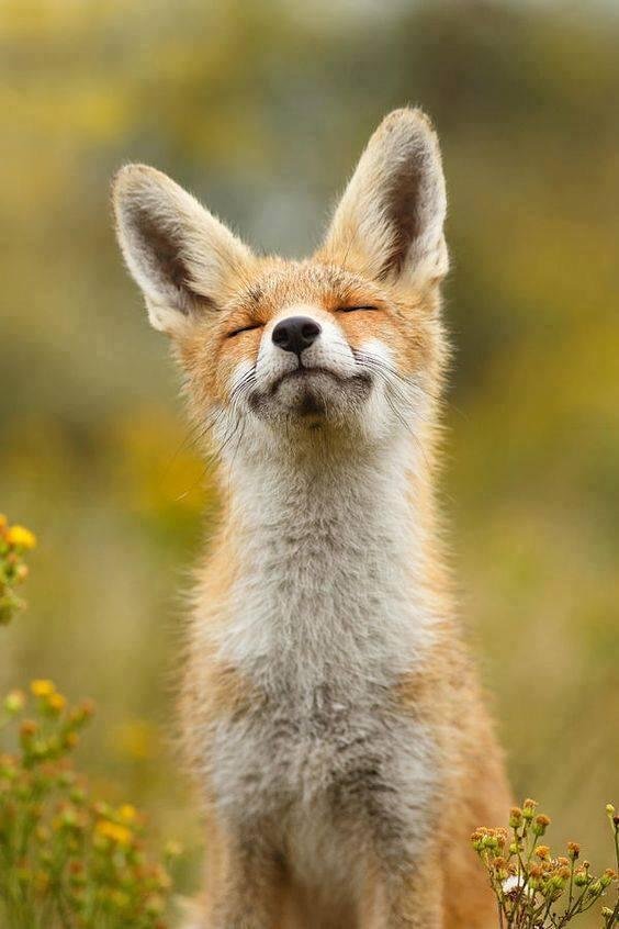 If you have good thoughts they will shine out of your face like sunbeams, and you will always look lovely. -Roald Dahl

-Roeselien Raimond Photographer