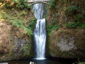 Jim Gibson's album, Trip to the falls