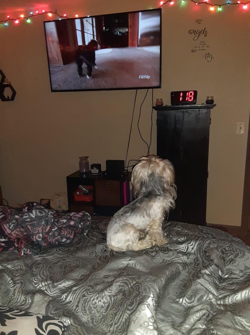 She loves watching too cute!