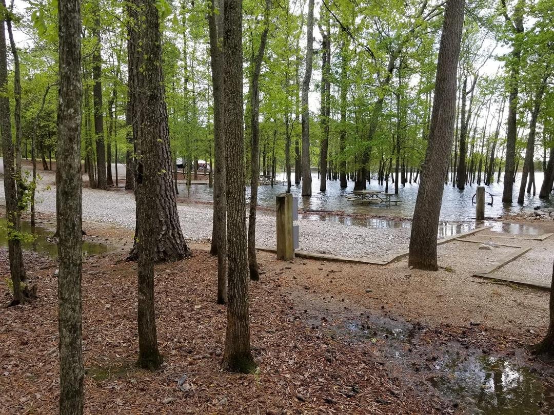 Campsite beside ours is almost completely underwater. Hoping for no more rain