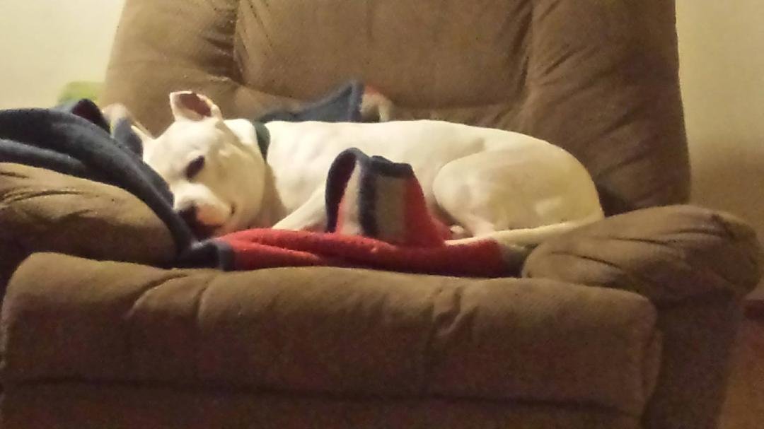 So much for it being dads chair