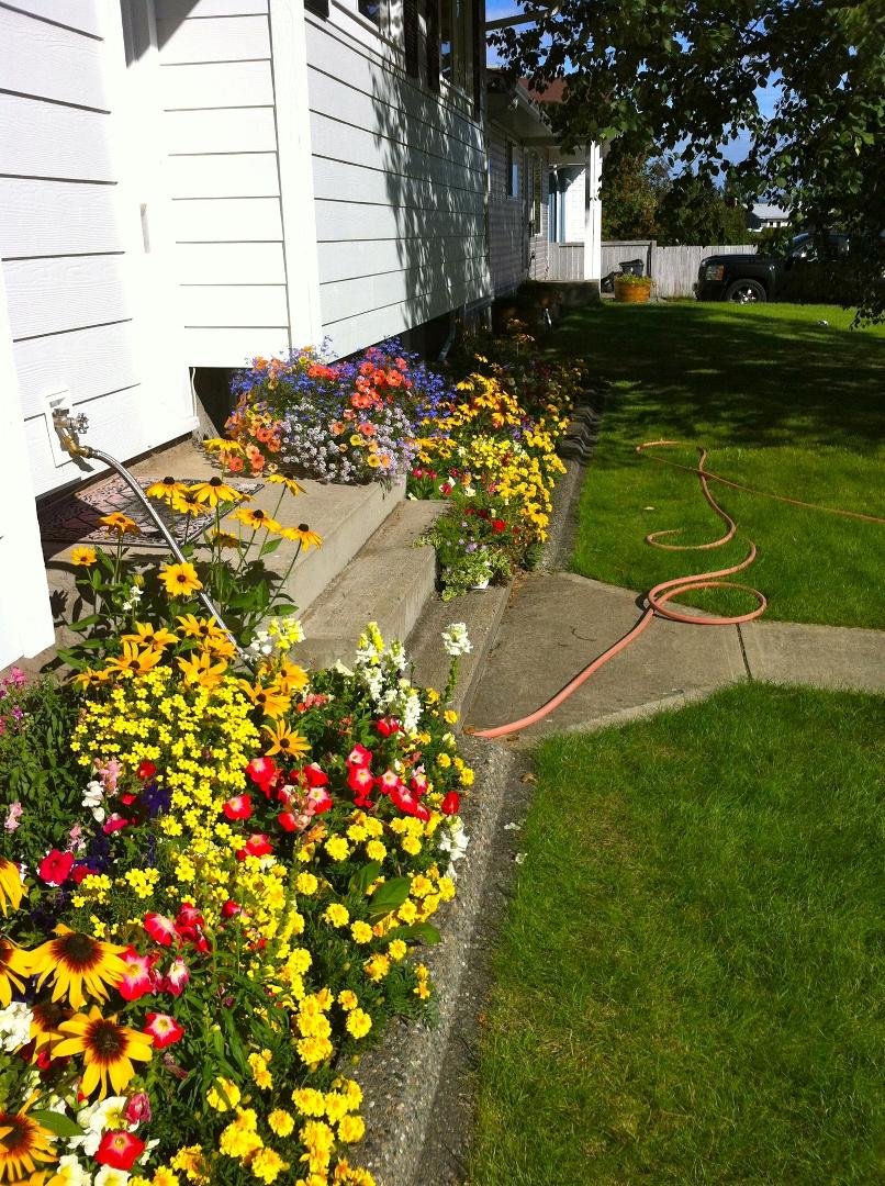 Summer at 232.
