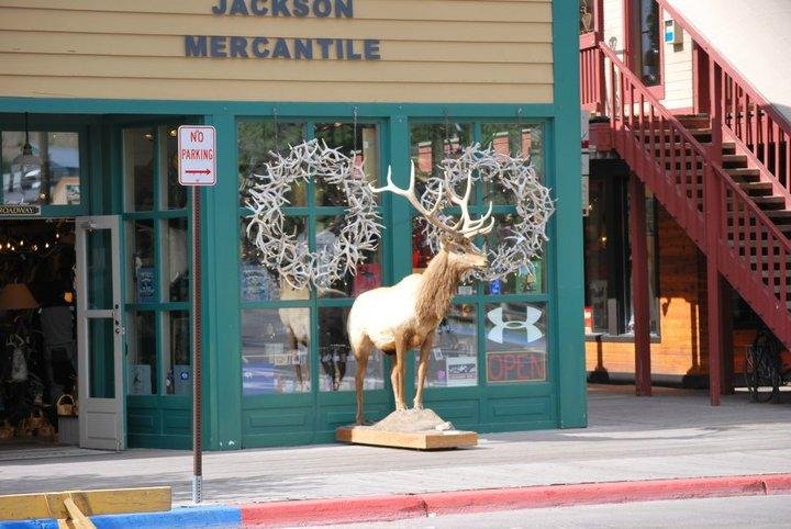 Ed Buksas' album, Jackson Hole, WY --- July 2010