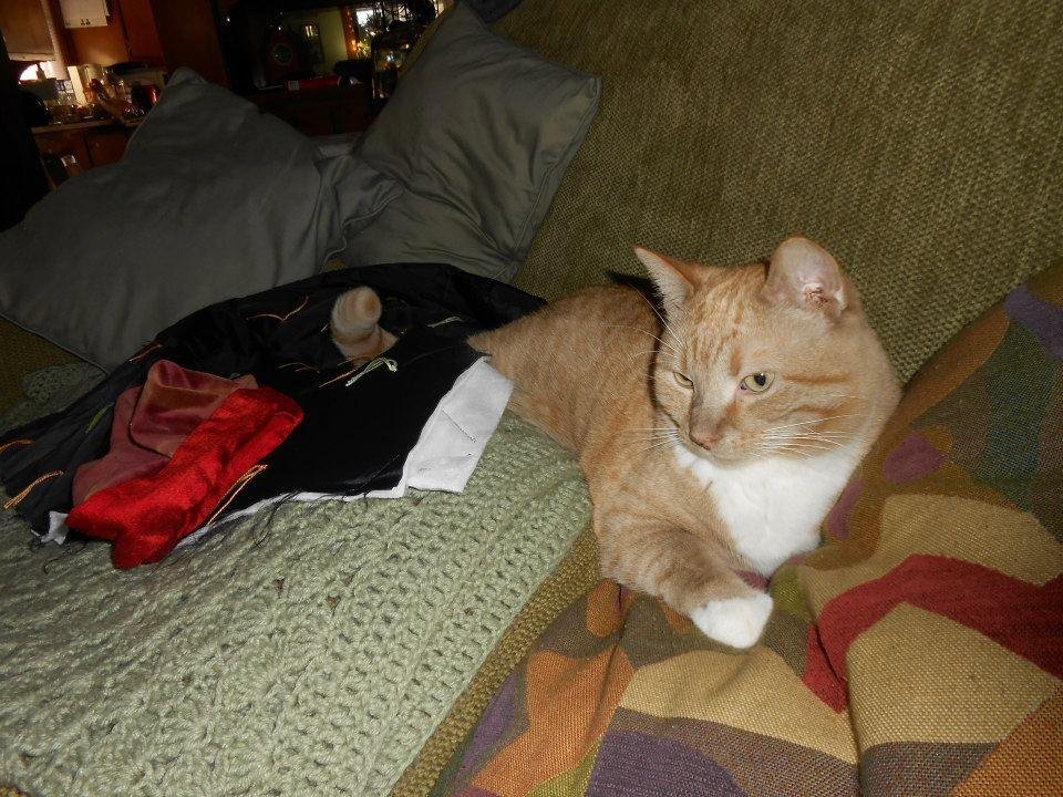 Marti.....unimpressed  with the hoopla.