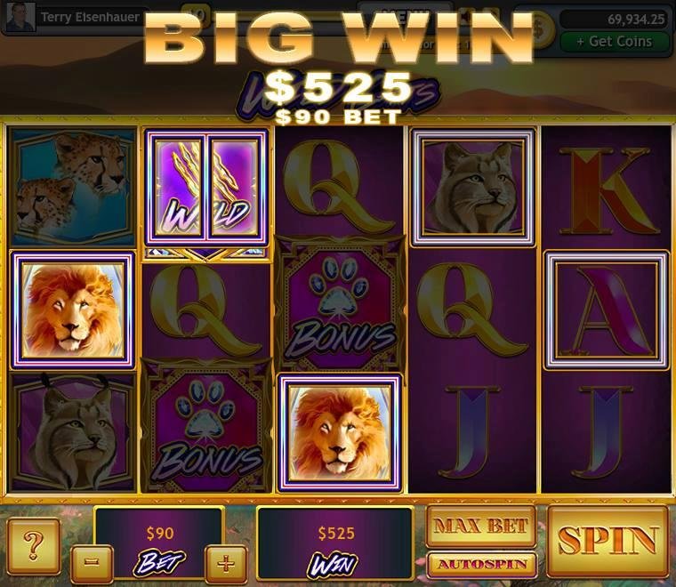 Terry Eisenhauer's album, Lucky Slots Photos