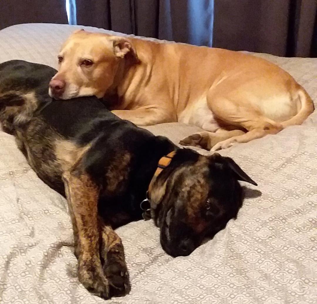 My 2 when they still got along