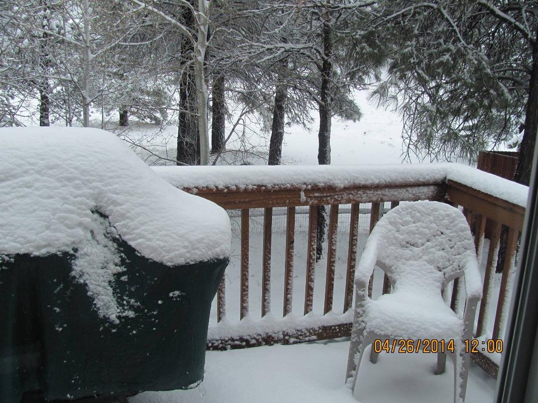 Spring time in Flagstaff 12 NOON