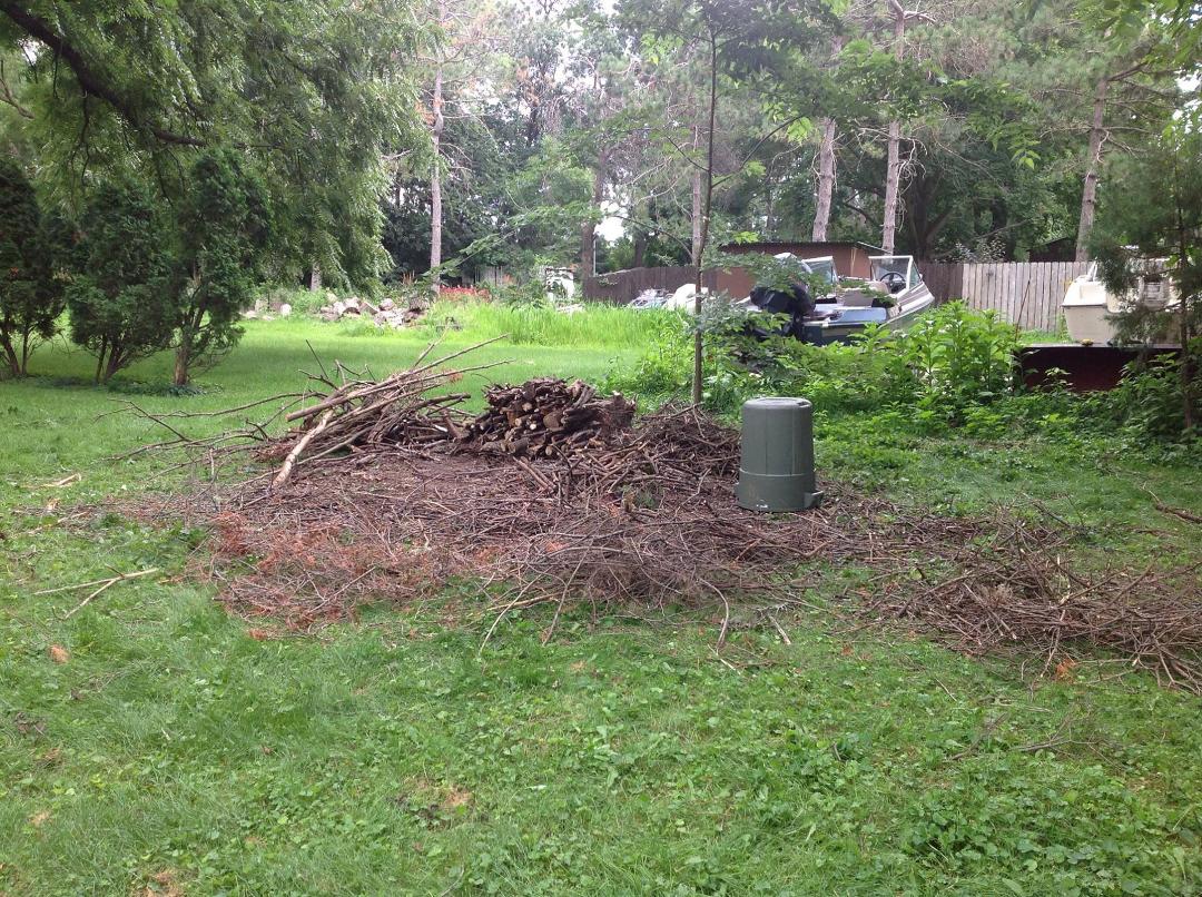 This was at least 5 feet high and 15 feet in diameter of branches, limbs and tree trunks. Now it's nothing but fire-pit fodder! I LOVE my chain saw!