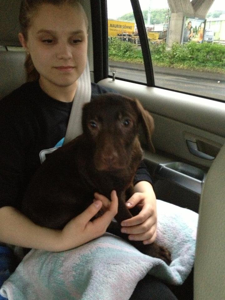 We would like to introduce the newest member to the Johns Clan - Guinness.