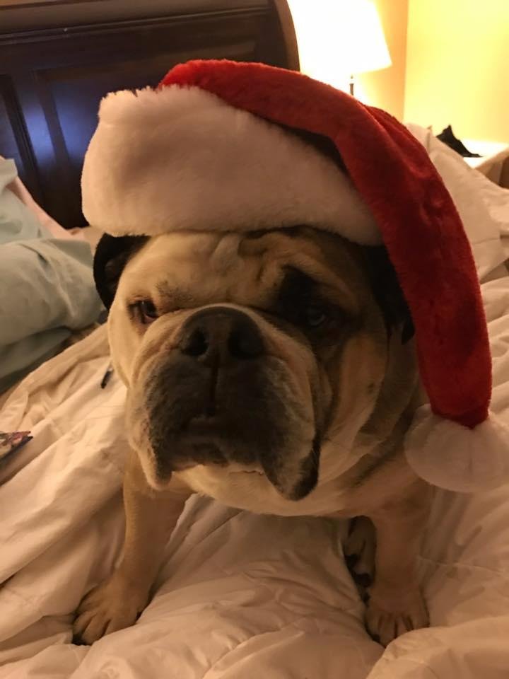 Merry Christmas to all and to all a good night!