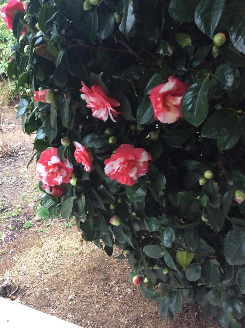 Ann Gilbert's album, Timeline Photos