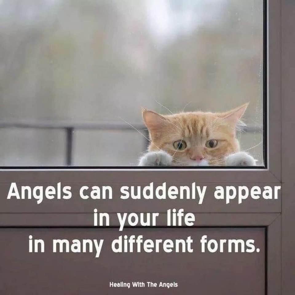 Kathryn Keegan's album, Timeline Photos