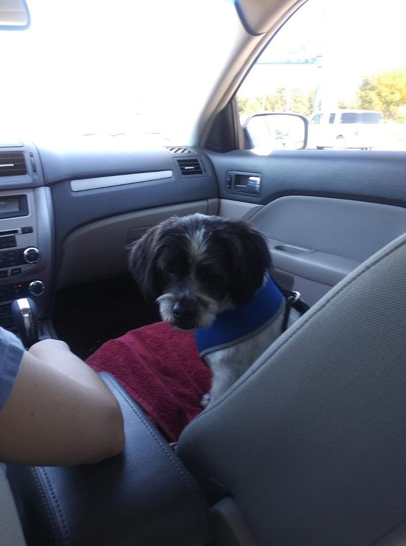 Hanging with Granddog of Matt