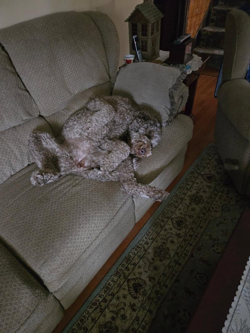 After a hard day of play she was exhausting