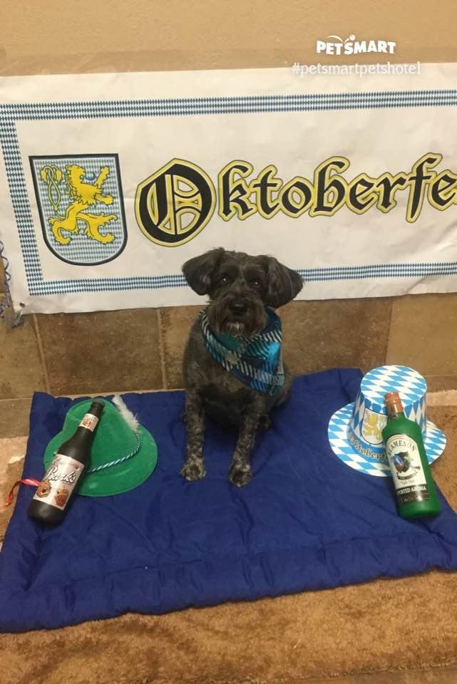 Jax “Wolfgang” Seyler celebrating his Heritage proudly🍻Cheers