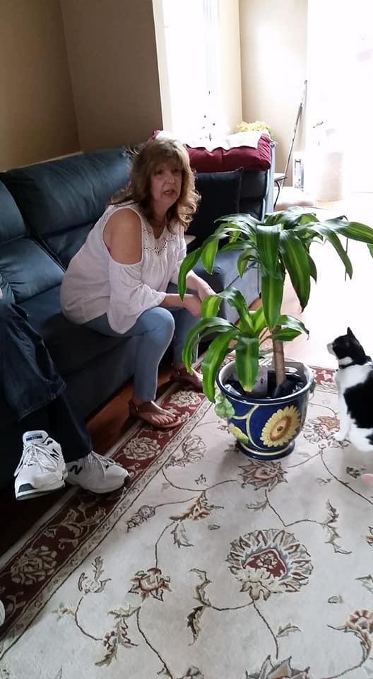 Janice Gramaglia's album, Timeline photos