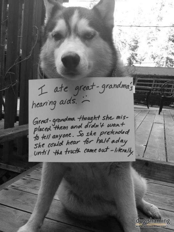 Joyce McLaughlin's album, Timeline photos