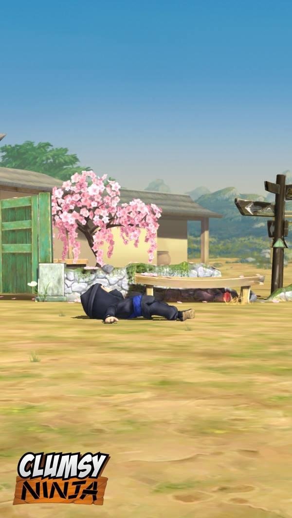 John NEIL MacLeod's album, Clumsy Ninja Photos