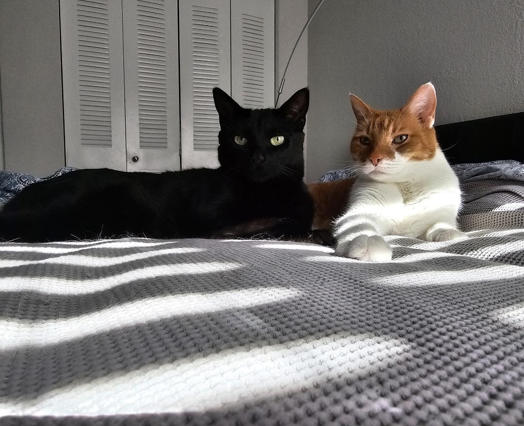 I think we have bedbuds.