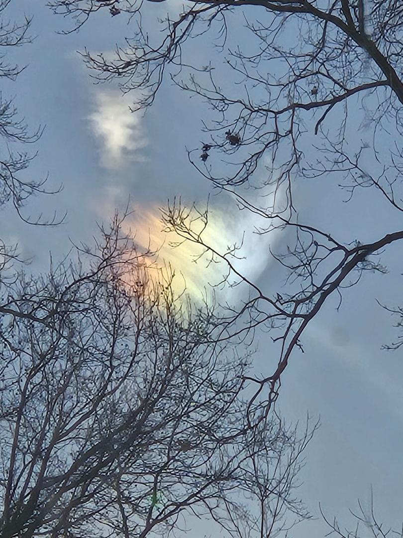 This afternoon from our kitchen window.