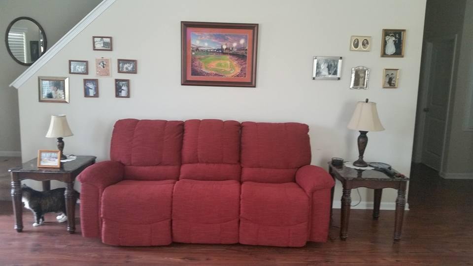 Our "New Couch".
Makes the living room look spectacular!