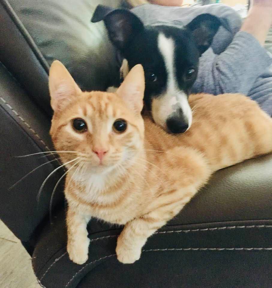 They’re besties now. 😁