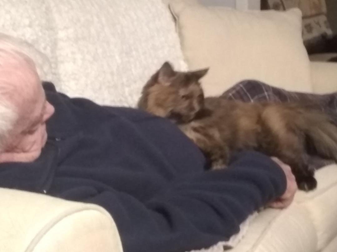 We lost our Miss Maggie today. She was over 20 years old. As tiny as she was, she has left a huge hole in our hearts and home.