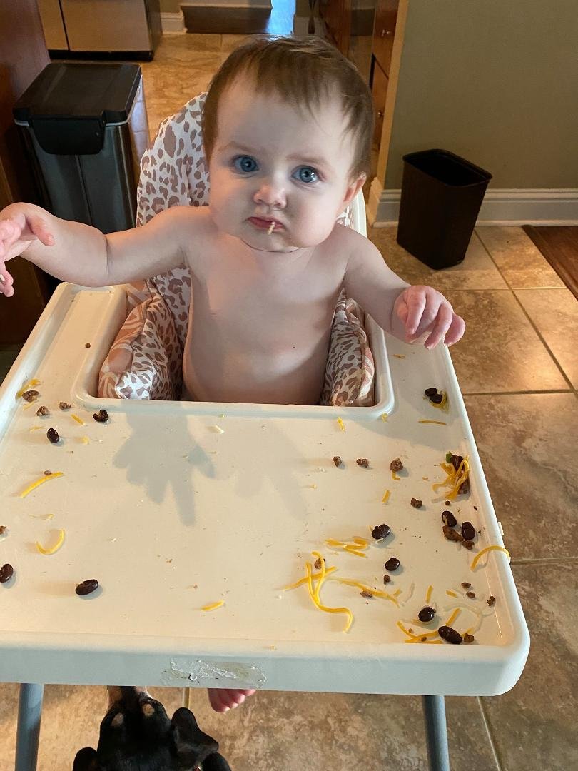 Taco Baby Gigi