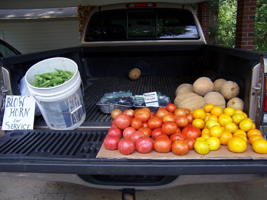 Susan Lee's album, summer gardening