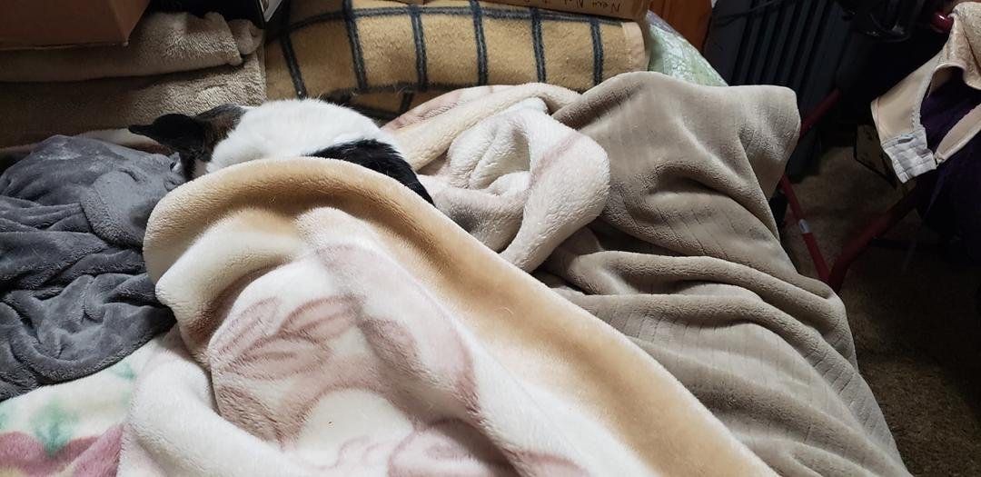 My feet are not only lacking bed space, but also the top layer of warmth. 😁