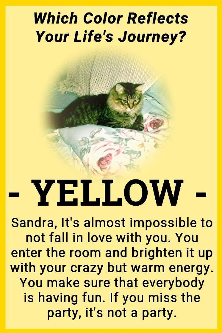 Sandra Niemeier's album, Timeline Photos