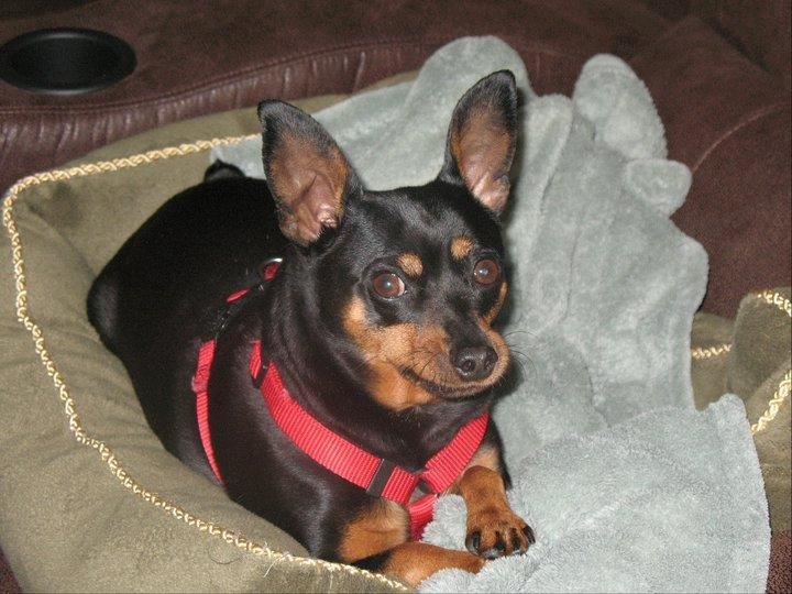 Victoria Glave's album, February 4, 2011