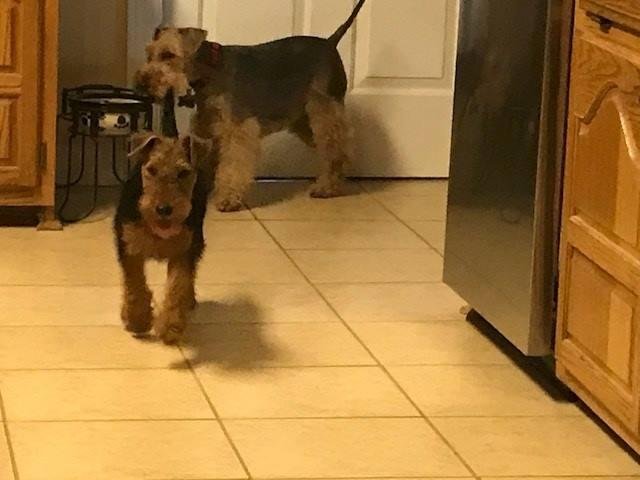 Quinn and Gracie yesterday--figuring it all out.