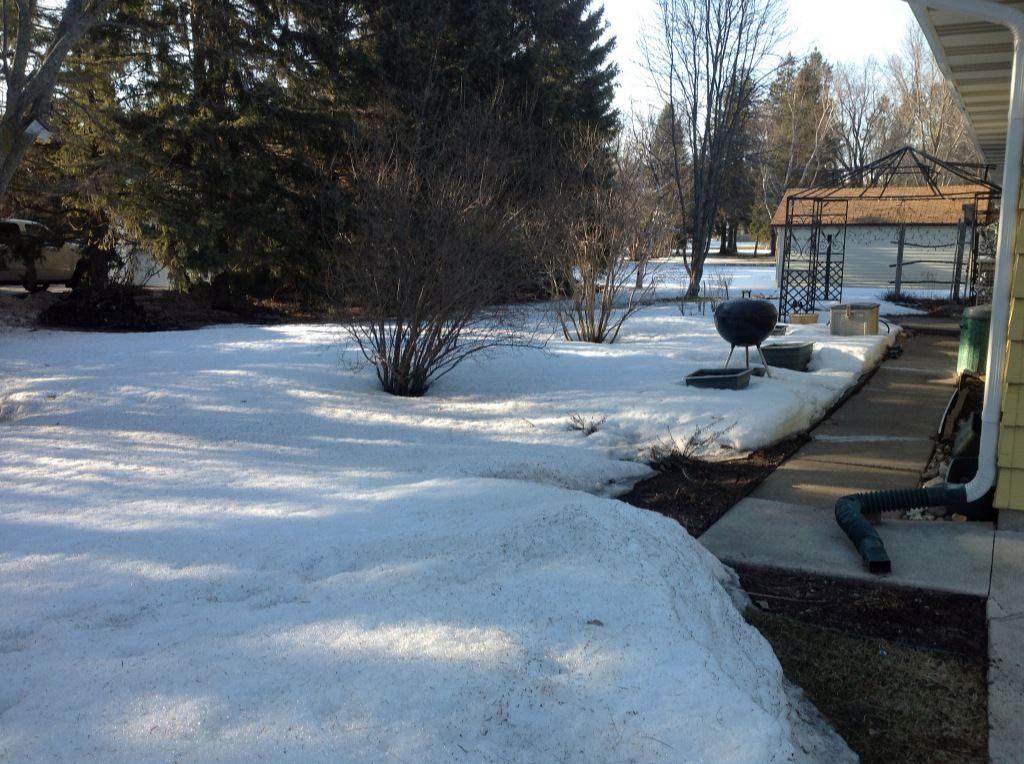 The back yard
April 22, 2013