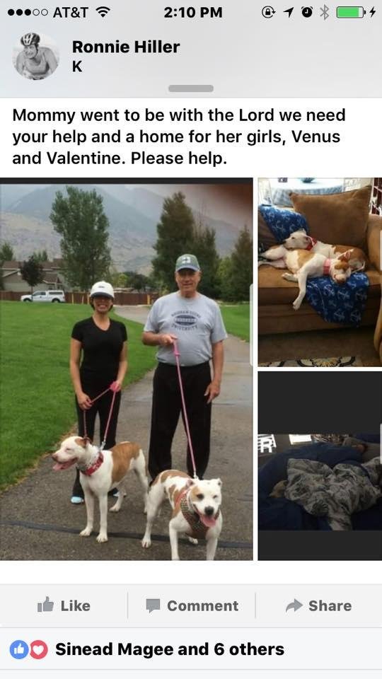In the Vegas area. This pair lost their young mother. Her friend is willing to pay for their food and care if you can foster or are willing to adopt. Let us know.