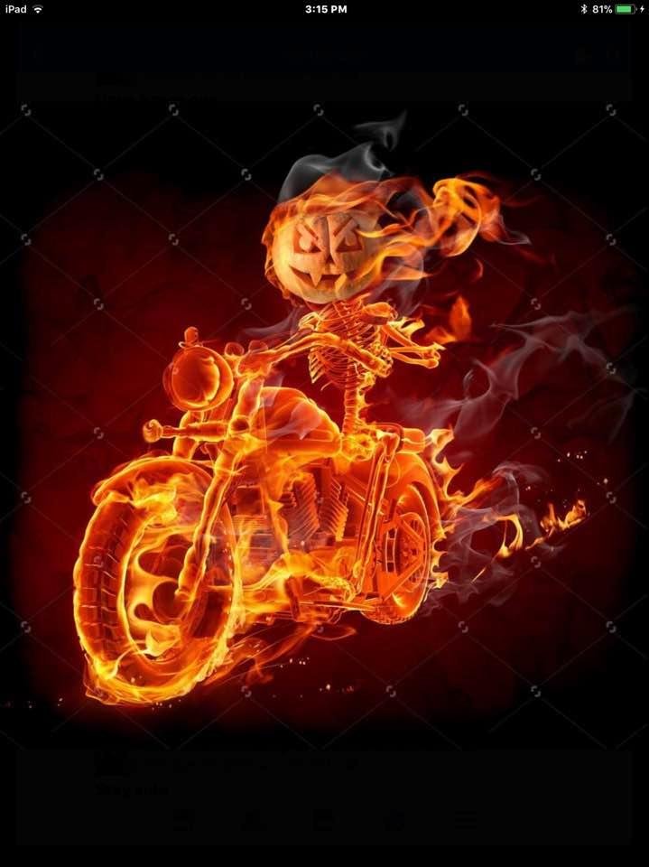 Happy Halloween