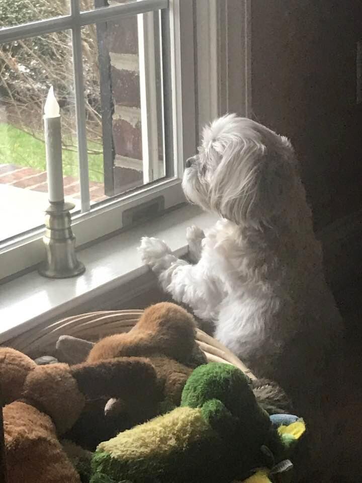 Waiting fo my momma to come home from NYC