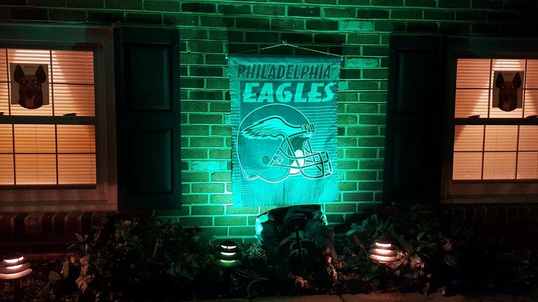 Some of our decorations. Go EAGLES!