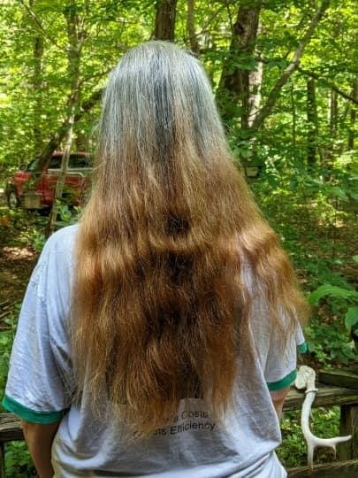 Leslie Dixon's album, Mobile Uploads