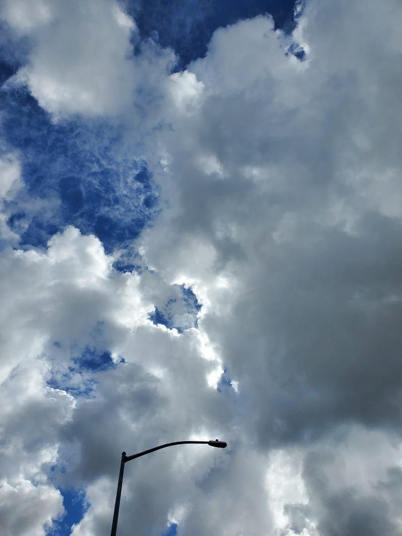 Steve Mayer's album, Mobile uploads