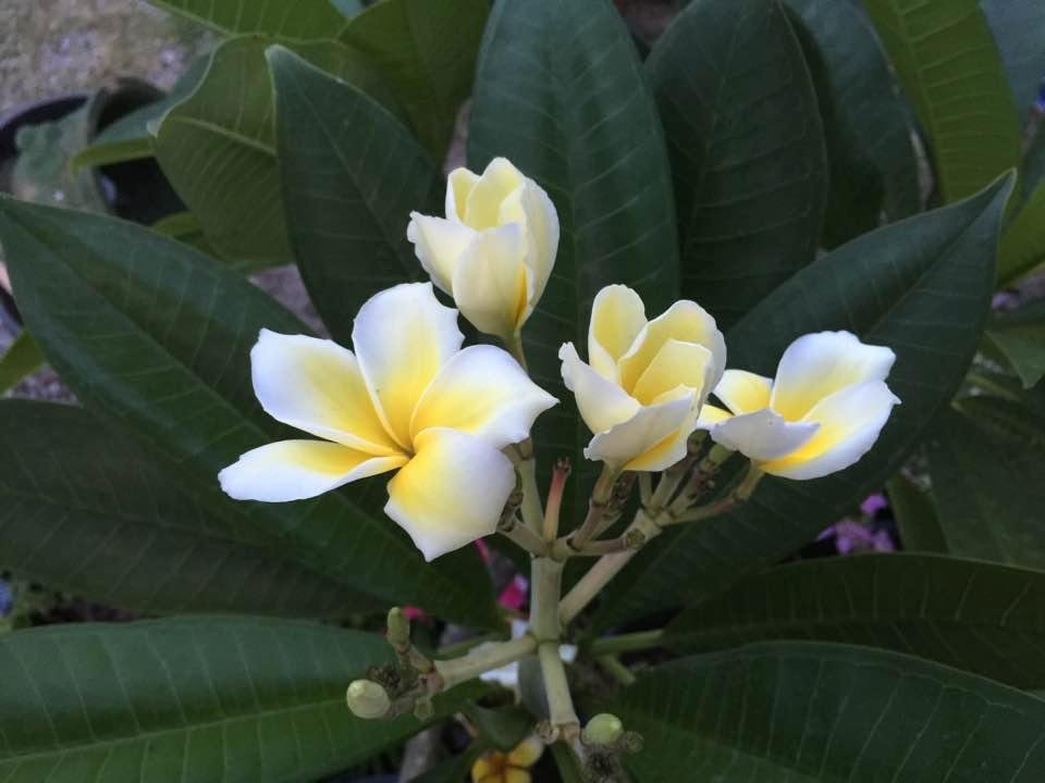 Thomas van Doren's album, Timeline Photos