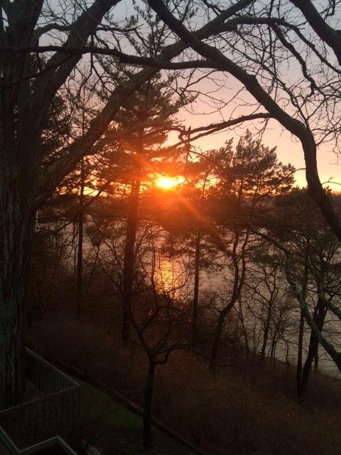 Mark Fragel's album, Timeline Photos