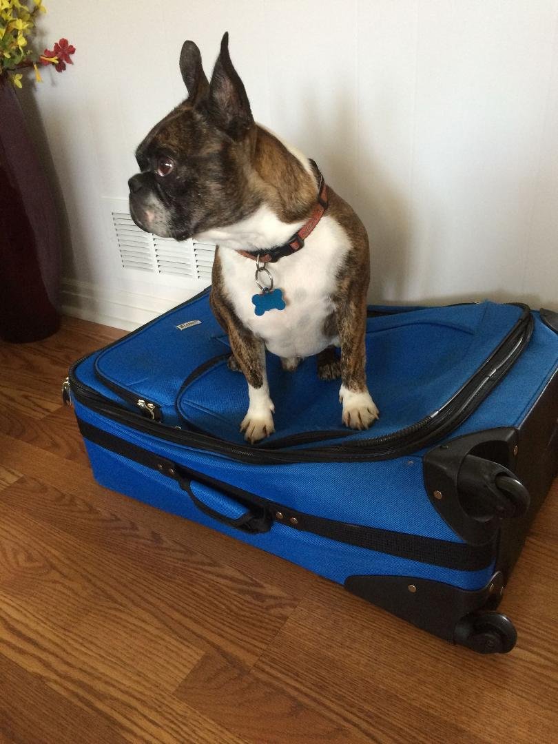 A. J. wants to go on vacation!