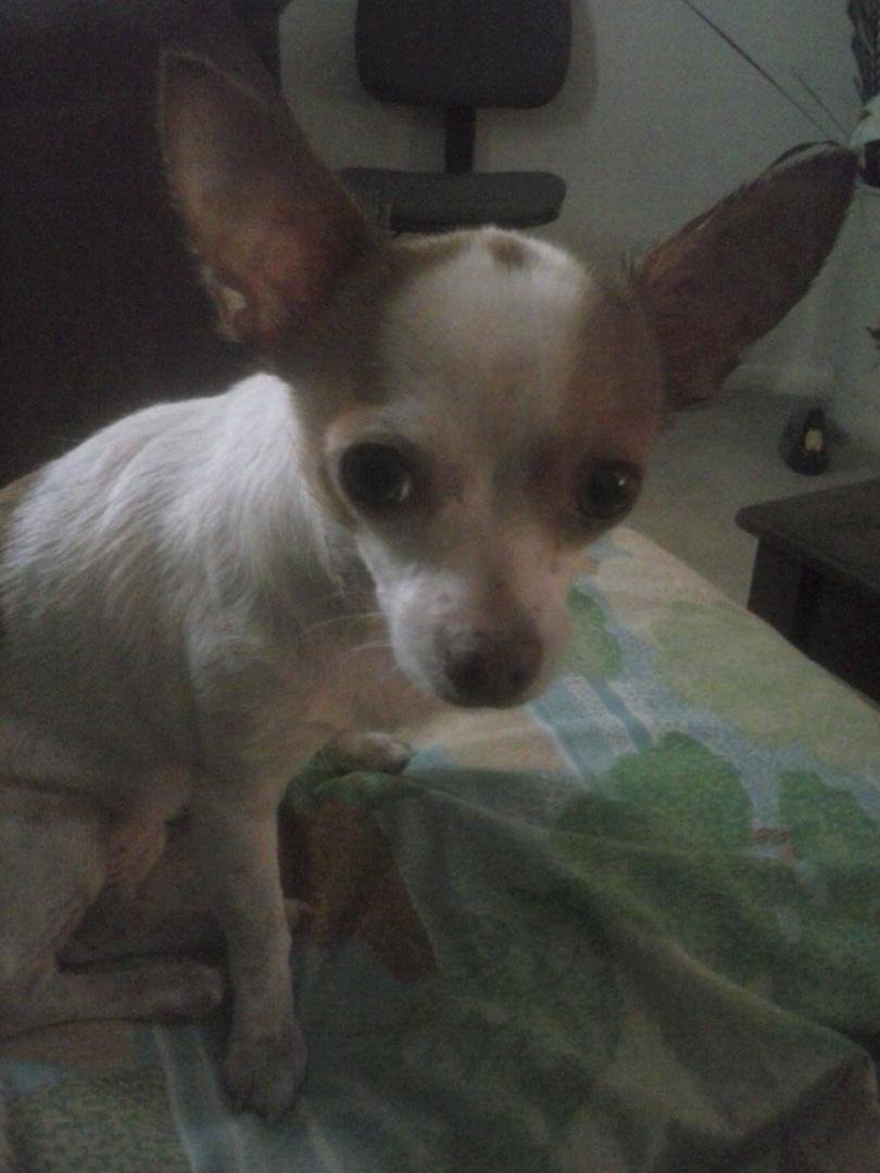 Tia says hi to family in ohio love to all!!