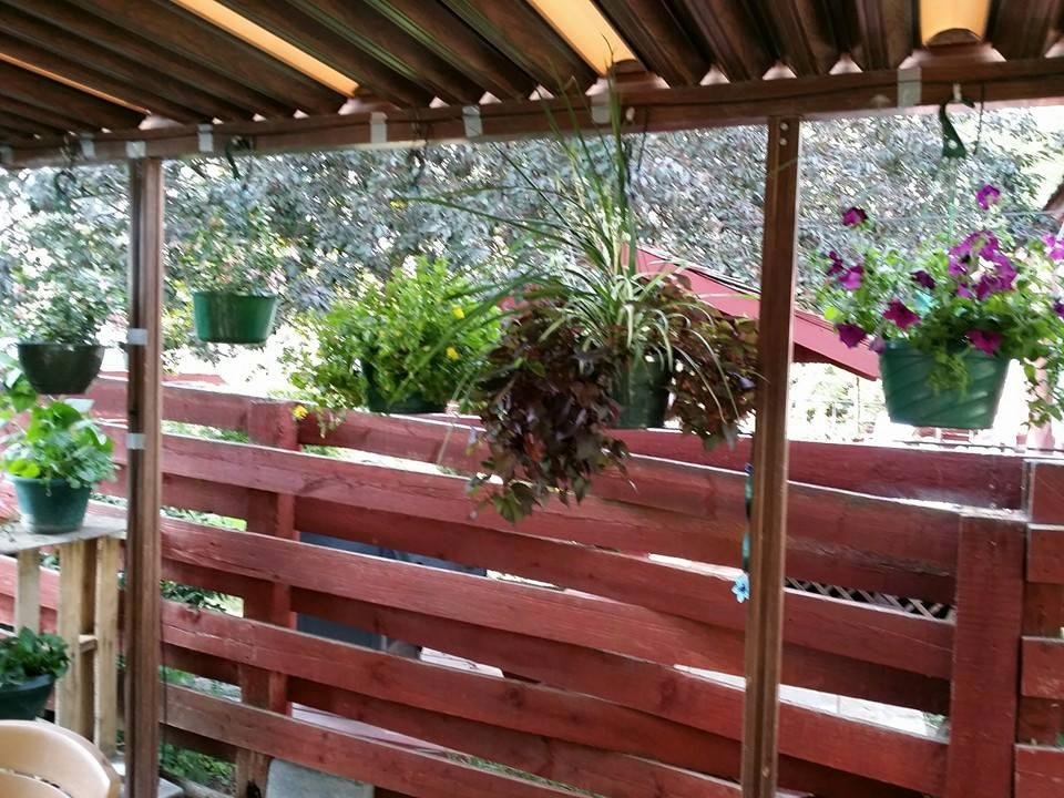 Last in backyard